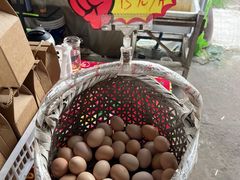 -马陆小张葡萄园农家乐