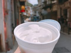-洪馨椰子
