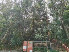 -南国桃园旅游度假区