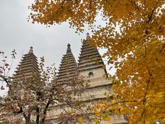 -北京石刻艺术博物馆(五塔寺)