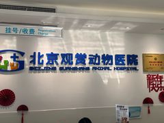 -北京观赏动物医院·24小时大型综合·猫专科·异宠专科