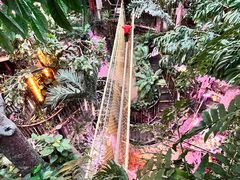 -正佳雨林生态植物园
