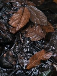 -Oasis Beauty水磨坊科技美肤中心