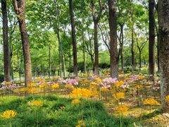 -白塘生态植物园