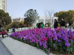 -北外滩滨江绿地