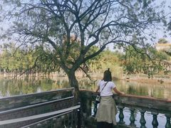 -东莞市可园博物馆