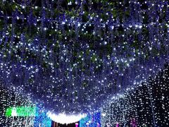 -长春公园(普阳街道)