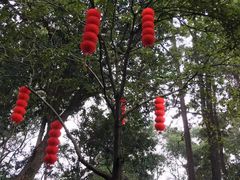 -王家渡火锅(三苏祠店)