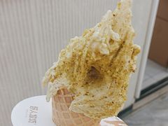 -野人先生现做冰淇淋(西安赛格店)