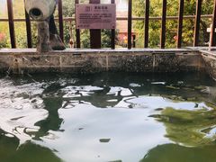 -汤山一号温泉度假区