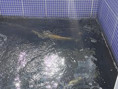 -北京龙庆四季香农家饭庄·灶台鱼·碳烤虹鳟鱼(龙庆峡店)