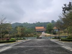 -南宁良凤江国家森林公园