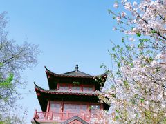 -堤角公园
