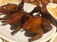 招牌烤乳鸽-石岐佬中山菜馆(张溪店)
