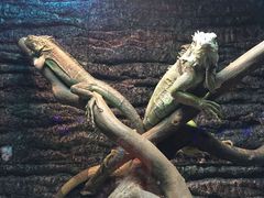 -大连圣亚海洋世界