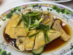 -1977 New Ipoh Chicken Rice 新怡保鸡饭店(陀螺街)