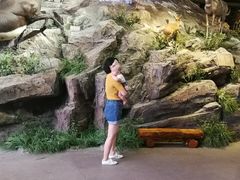 -陕西自然博物馆