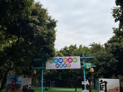 -大屏嶂森林公园