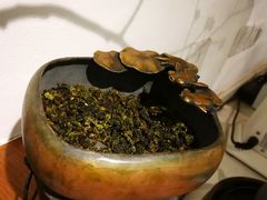 -茶是一枝花泡茶店