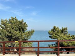 -小麦岛公园