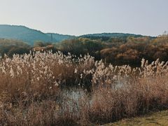 -棋盘山风景区