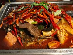 -探鱼·鲜青椒爽麻烤鱼(北京路天河城店)