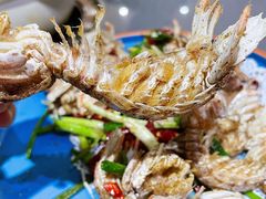 椒盐皮皮虾-金龙·打边炉(武进路店)