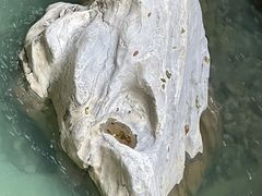 -蝶舞清江·恩施地心谷景区