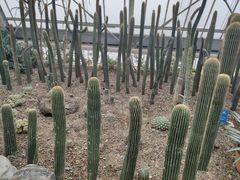 -南山植物园