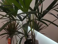 -万达广场(松江店)