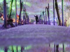 -嘉定紫藤园