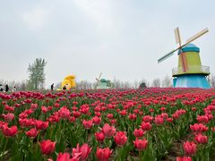 -北京国际鲜花港