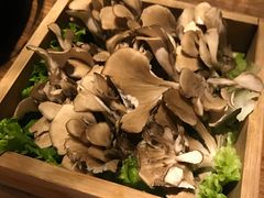 -盡膳口福跷脚牛肉火锅(合生汇购物中心店)