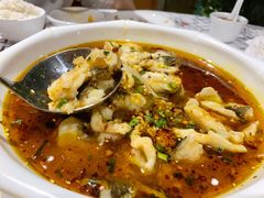 水煮老虎斑-强记海鲜·大排档(蛇口新街店)