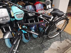 -凤凰电动车自行车(共江路店)