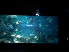 -银兴国际影城(永旺梦乐城吴中店)