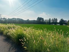 -嘉北郊野公园