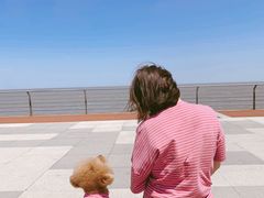 -东疆建设开发纪念公园