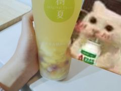 -树夏(建设路店)