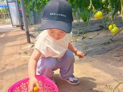 -兴芮温泉度假区