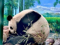 -天津市动物园