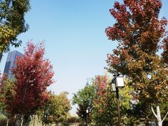 -西海子公园