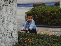 -两江幸福广场