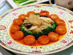 红梅鱼肚-鹿鸣春饭店(总店)
