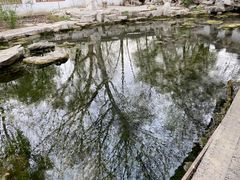 -百脉泉景区