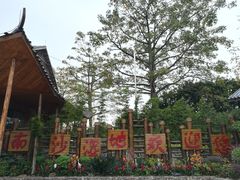 -大湾区中央湿地公园