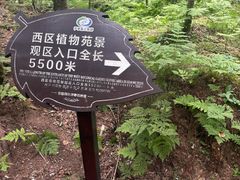 -汤旺河林海奇石景区
