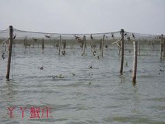 蟹副本-丫丫蟹庄·苏式园林农家乐·阳澄湖大闸蟹(阳澄湖莲花岛店)