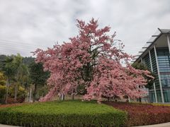 -中国移动南方基地