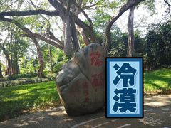 -瑞丽独树成林风景区